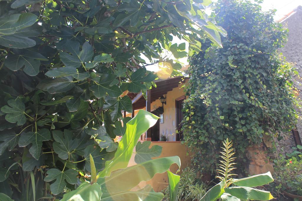 Casa Rural Las Rosas Agulo Kamer foto